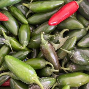Pimientos picantes, Chiles Jalapeños eco