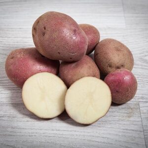 Patatas "Red Pontiac", de piel roja y carne muy blanca eco
