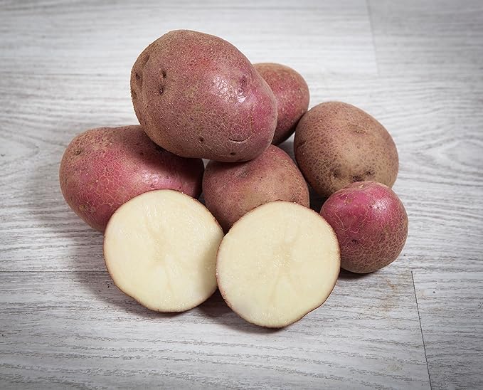 Patatas "Red Pontiac", de piel roja y carne muy blanca eco