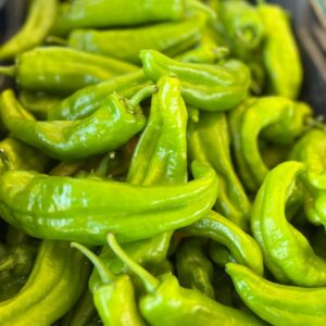 Pimientos verdes tiernos eco