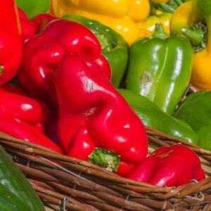 Pimientos de Asar, verdes, rojos y amarillos eco
