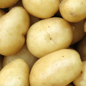 Patatas Soprano eco