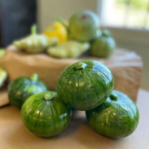 Zapallito eco