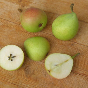 Peras variedad Ercolina