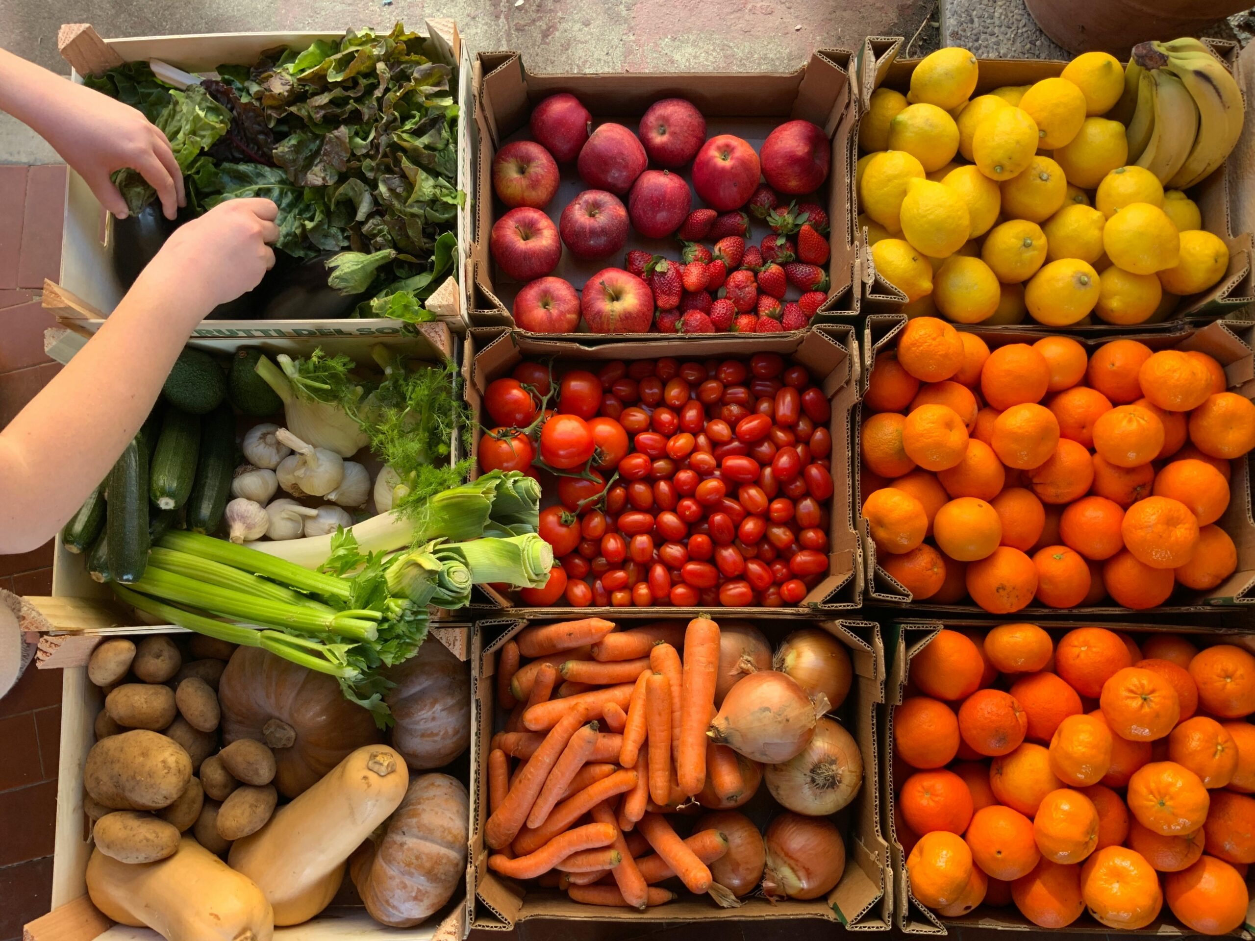 Top view of vibrant fruits and vegetables in boxes, showcasing variety and color.