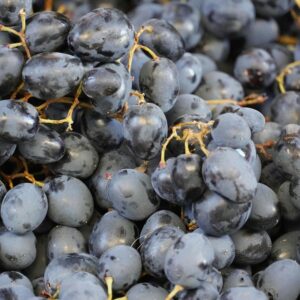 Close-up view of a large pile of fresh black grapes, showcasing their natural abundance and texture.