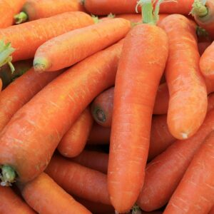 A vibrant collection of fresh orange carrots piled together, perfect for healthy cooking.